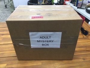 Adult Mystery Box