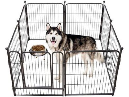 16-Panel 40" Dog Fence