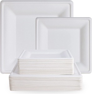 ECOLipak 120 Pack Compostable Paper Plates