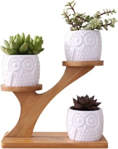 Owl Succulent Pots with 3 Tier Bamboo Stand