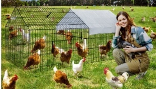 Large Metal Walk-in Poultry Cage w/&nbsp;Waterproof & Anti-Ultraviolet Cover,&nbsp;Black w/ Grey Cover, May Be Missing Hardware