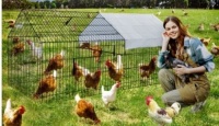 Large Metal Walk-in Poultry Cage w/&nbsp;Waterproof & Anti-Ultraviolet Cover,&nbsp;Black w/ Grey Cover, May Be Missing Hardware