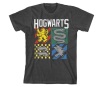 Harry Potter Hogwarts Houses Charcoal Gray Short-Sleeve T-shirt-Adult XS/S