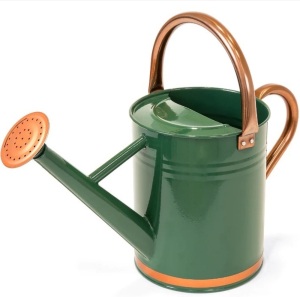 1-Gallon Galvanized Steel Watering Can