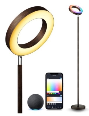 LED Floor Lamp w/ Double-Side Lighting