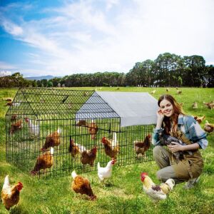 Metal Chicken Coop