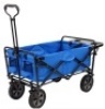 Blue Wagon