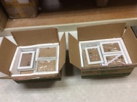 Lot of (2) 11 Pc Ready to Hang Picture Frames - Appears New