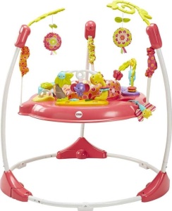 Fisher-Price Pink Petals Jumperoo  