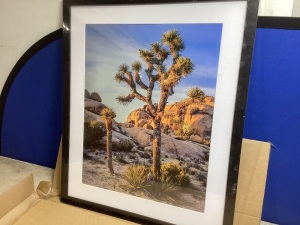 Framed Cactus Picture 