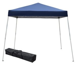 8'x8' Canopy Tent