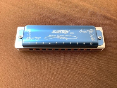 East top Diatonic Blues Harmonica