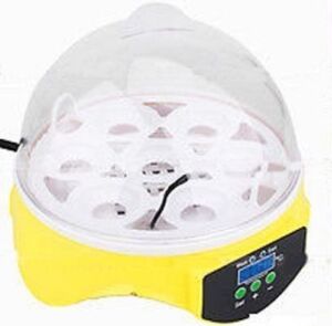 7-Egg Mini Digital Incubator