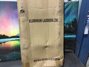 Aluminum Telescoping Ladder