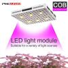 Phlizon Cree COB 630W Led Grow Light. NEW
