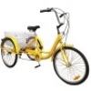 24" Adult 7 Speed Tricycle - Appears New 