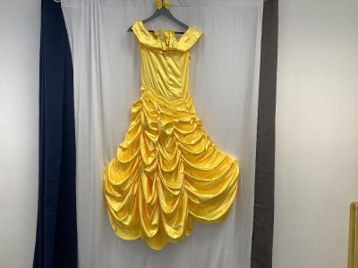 Belle Costume