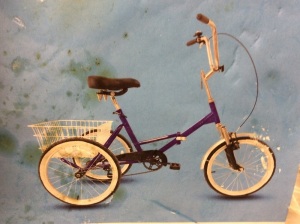 20" Single Speed Tricycle with Basket - Appears New