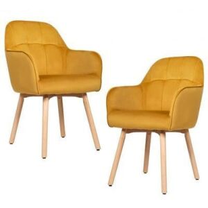 Set of 2 Mid-Back Accent Leisure Armchairs