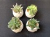 Set of 4 Mini Faux Succulent Planters