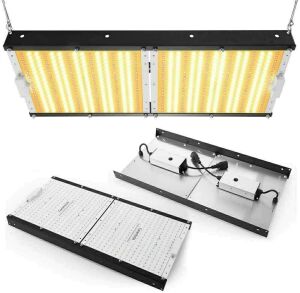 Carambola 2000W LED Full Spectrum Grow Light 4x2 ft 