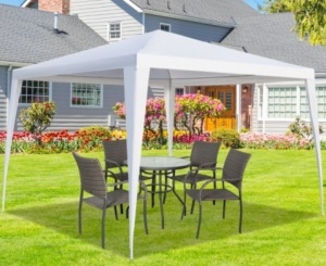 Party Tent Canopy, 10' x 10'