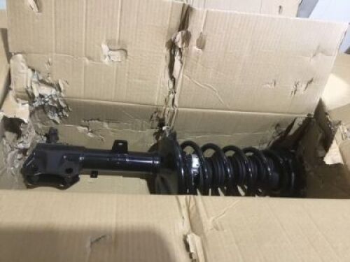 Pair of Strut Assemblies&nbsp;