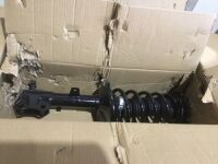 Pair of Strut Assemblies&nbsp;
