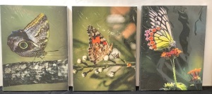 Set of 3 Butterfly Wall Art Canvases, 12x16