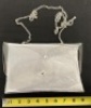Lot of (10) Clear Purses