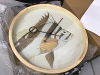 Lot of (2)&nbsp;Cloudnola Chilodactylus Vittatus Fish Wood Wall Clock, 16.5" - E-Comm Returns,&nbsp;Appear New&nbsp;