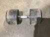 Lifeline 95lb Dumbbell 