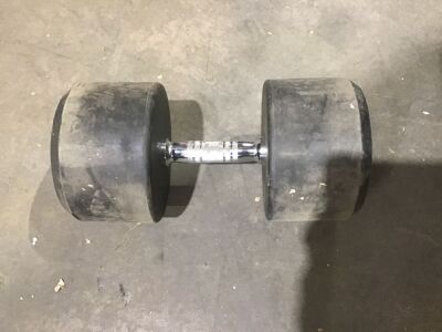 Lifeline 95lb Dumbbell 