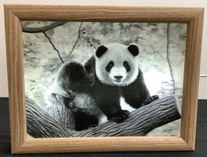 Holographic 3D Photo Frame (Panda)