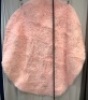 Large Round Area Rug