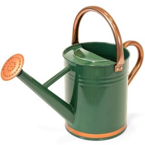 1-Gallon Galvanized Steel Watering Can w/ O-Ring, Top Handle 