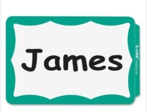 Lot of 9 C-Line Self-Adhesive Name Tags - Green Border, Peel & Stick, 3-1/2 x 2-1/4, 100/BX