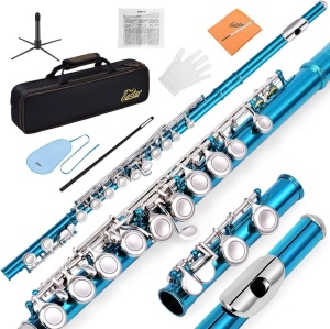 Eastar C Flutes Closed Hole 16 Keys Flute for Beginner Kids Student Flute Instrument with Fingering Chart, Cleaning Kit, Stand, Carrying Case, Gloves, Tuning Rod, Sky Blue, EFL-1SB