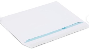 Staples EasyClose Booklet Envelopes, 6" x 9", White, 250/Box