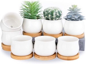 Set of (11) Succulent Ceramic Plant Pot, 2.6", White, 12-1 Missing One Pot