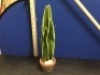 Sansevieria Artificial Snake Plant 26" - Appears New&nbsp;