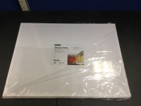Phoenix Artist's Canvas Panels, 18" x 24", 6 Pack - Appear New