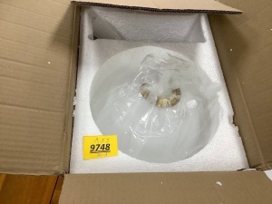 Globe Ceiling Light (10 inch)