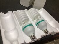 95W 5500K&nbsp;Photography Daylight Balanced Bulb for Soft Box Lighting