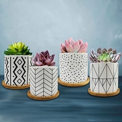 Lot of (2) Dervell Succulent Planters with Drainage, Geometric Patterned, 4 Pack - Appear New&nbsp;