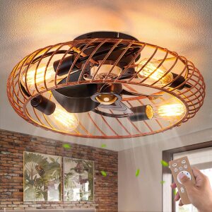 Dalouguan Enclosed Ceiling Fan with Light Remote Control