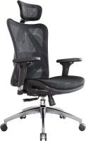 SIHOO Ergonomic Mesh Office Chair