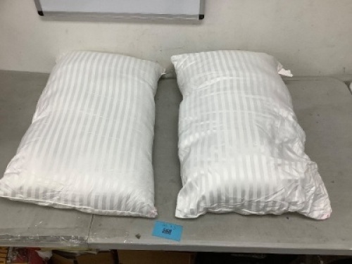 Eive Set of 2 Pillows