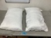 Eive Set of 2 Pillows