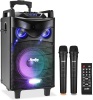 Moukey Karaoke Machine Portable Bluetooth Speaker with 2 Wireless Microphones